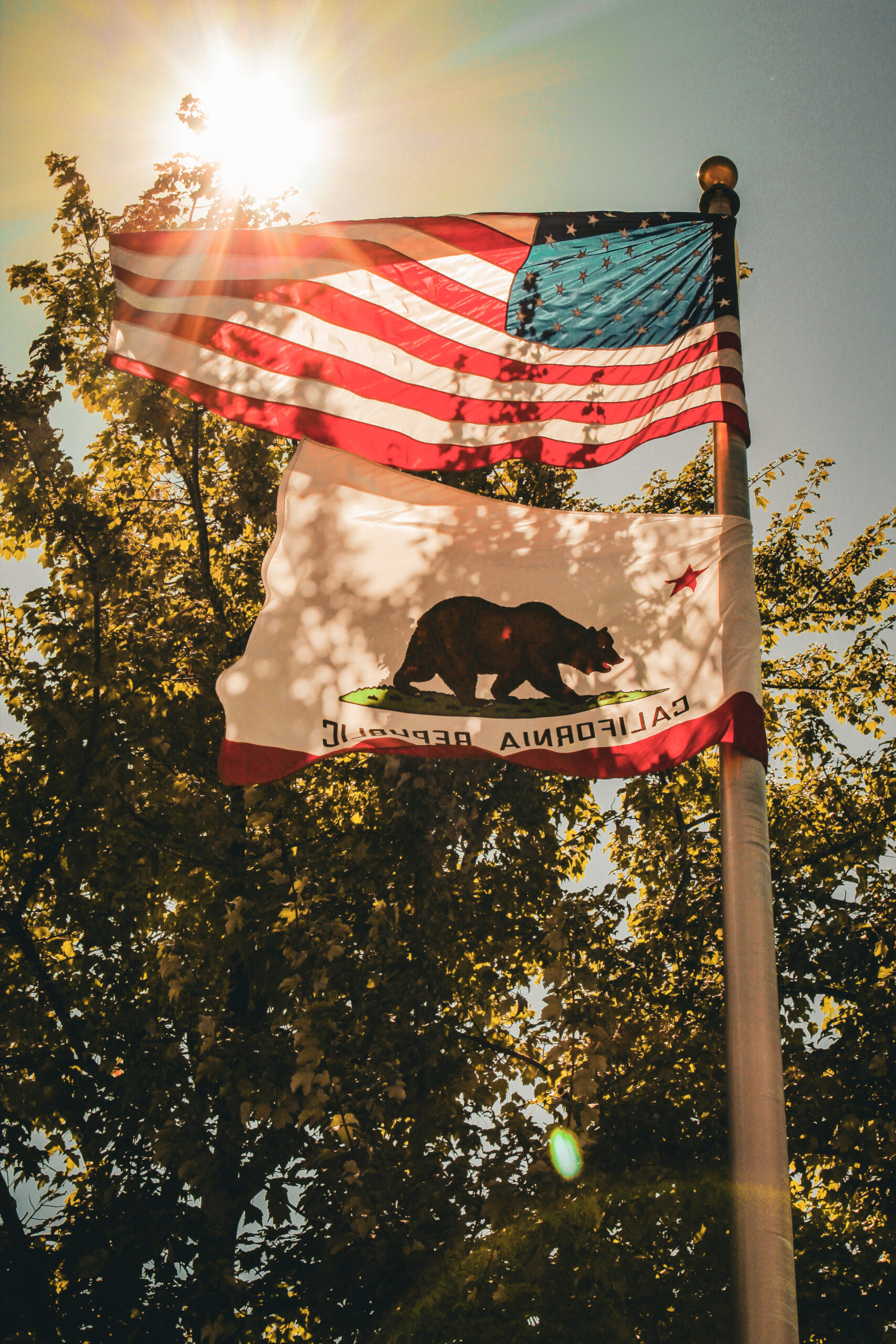 Sunlight illuminates the US flag and California state flag on a flag pole.